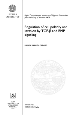 Regulation of Cell Polarity and Invasion by TGF-Β and BMP Signaling