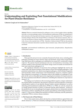 Understanding and Exploiting Post-Translational Modifications for Plant Disease Resistance