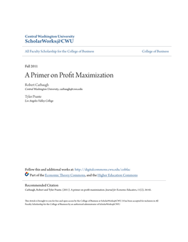 A Primer on Profit Maximization
