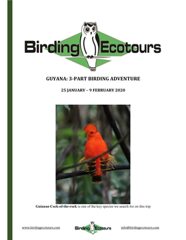 Guyana: 3-Part Birding Adventure