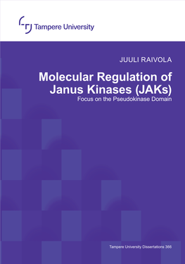 Molecular Regulation of Janus Kinases (Jaks) Focus on the Pseudokinase Domain