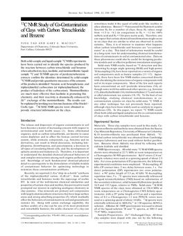 13C NMR Study of Co-Contamination of Clays with Carbon Tetrachloride