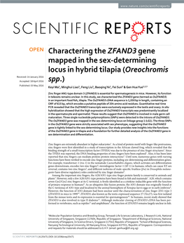 Charactering the ZFAND3 Gene Mapped in the Sex-Determining