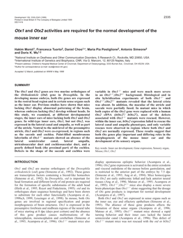 Otx1 and Otx2 in Inner Ear Development 2337 by BMP4 Expression (Lc in Fig