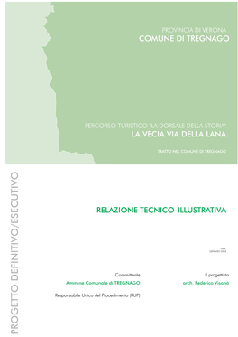 Relazione Tecnica Tregnago