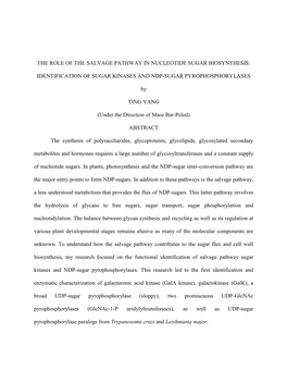 The Role of the Salvage Pathway in Nucleotide Sugar Biosynthesis