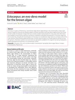 Ectocarpus: an Evo‑Devo Model for the Brown Algae Susana M