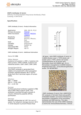 CRIP1 Antibody (C-Term) Affinity Purified Rabbit Polyclonal Antibody (Pab) Catalog # Ap4707b