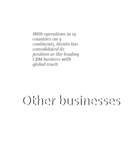 Other Businesses