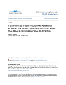 The Importance of Serotonergic and Adrenergic Receptors for the Induction and Expression of One-Trial Cocaine-Induced Behavioral Sensitization