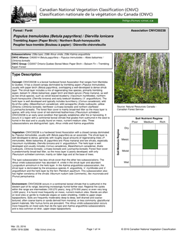 (Betula Papyrifera) / Diervilla Lonicera Trembling Aspen (Paper Birch) / Northern Bush-Honeysuckle Peuplier Faux-Tremble (Bouleau À Papier) / Dièreville Chèvrefeuille