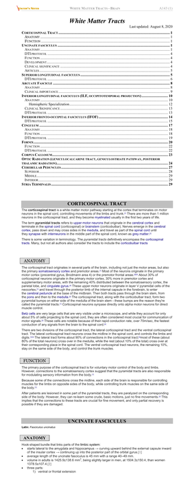 White Matter Tracts - Brain A143 (1)