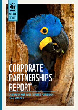 Report Overview of Wwf-Brazil Corporate Partnerships Fiscal Year 2018