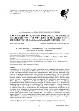 A NEW SPECIES of Dendrelaphis BOULENGER, 1890 (REPTILIA: COLUBRIDAE) from the WET ZONE of SRI LANKA with a REDESCRIPTION of Dendrelaphis Bifrenalis (BOULENGER, 1890)