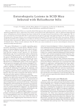 Enterohepatic Lesions in SCID Mice Infected with Helicobacter Bilis