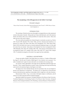 The Morphology of the Bill Apparatus in the Steller's Sea Eagle