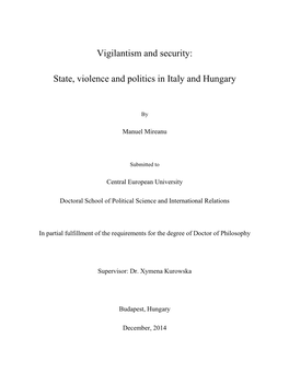 Vigilantism and Security