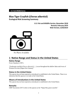 Cherax Albertisii (Blue Tiger Crayfish) Ecological Risk Screening Summary