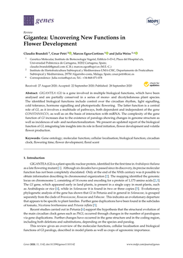 Gigantea: Uncovering New Functions in Flower Development