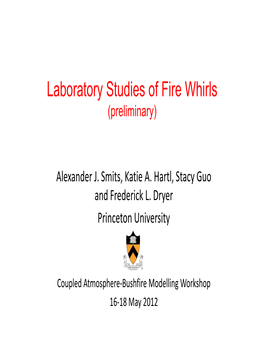 Laboratory Studies of Fire Whirls (Preliminary)