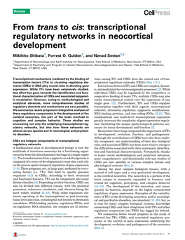 Transcriptional Regulatory Networks in Neocortical Development