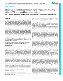 Stable Tug-Of-War Between Kinesin-1 and Cytoplasmic Dynein Upon Different ATP and Roadblock Concentrations Gina A