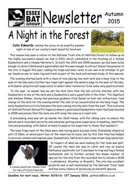 Essex Bat Group Newsletter 2015 Autumn