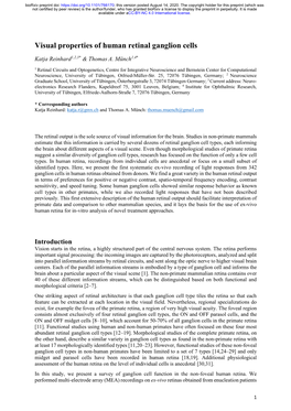 Visual Properties of Human Retinal Ganglion Cells