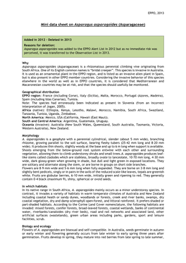 Mini Data Sheet on Asparagus Asparagoides (Asparagaceae)