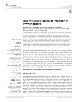 Bee Viruses: Routes of Infection in Hymenoptera