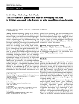 The Association of Peroxisomes with the Developing Cell Plate in Dividing Onion Root Cells Depends on Actin Microﬁlaments and Myosin