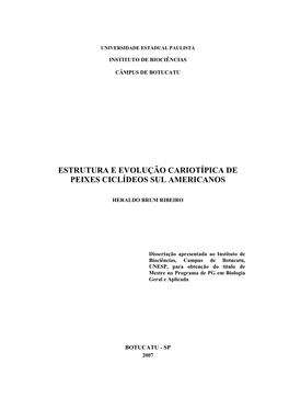 Estrutura E Evolução Cariotípica De Peixes Ciclídeos Sul Americanos