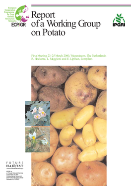 Report of a Working Group on Potato: First Meeting, 23-25 March 2000