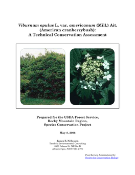 Viburnum Opulus Var. Americanum