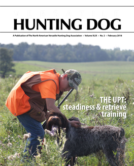 Versatile Hunting Dog