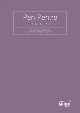 Pen Pentre SYCHDYN