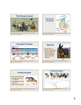 BIO1300 Human Evolution