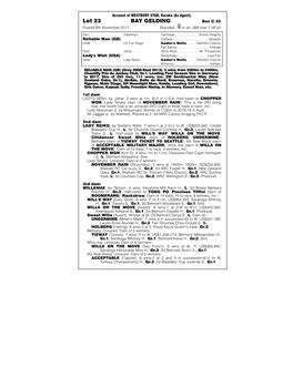 Lot 23 BAY GELDING Box C 33 Foaled 8Th November 2017 Branded : Nr Sh; 269 Over 7 Off Sh