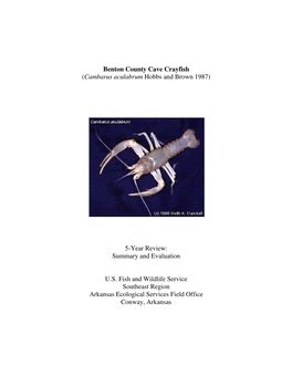 Benton County Cave Crayfish (Cambarus Aculabrum Hobbs and Brown 1987)
