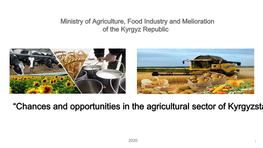 “Chances and Opportunities in the Agricultural Sector of Kyrgyzsta