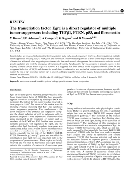 The Transcription Factor Egr1 Is a Direct Regulator of Multiple Tumor