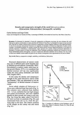 Carlos Jiménez and Jorge Cortés Structural Characteristics of Ramose