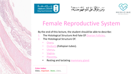 Female Reproductive System