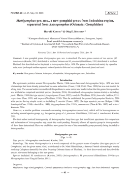 Karube H., Kosterin, O.E. 2018. Mattigomphus Gen. Nov., a New