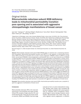 Ribonucleotide Reductase Subunit M2B Deficiency Leads To