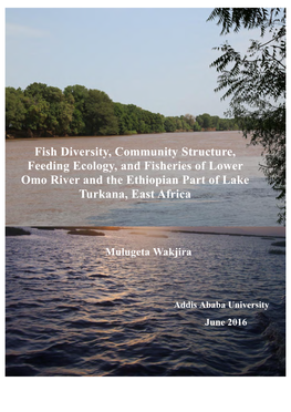 Fish Diversity, Community Structure, Feeding Ecology, and Fisheries of Lower Omo River and the Ethiopian Part of Lake Turkana, East Africa