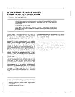 A New Disease of Common Poppy in Canada Caused by a Downy Mildew