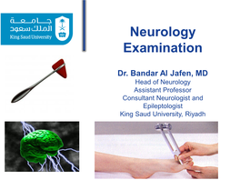 Neurological Examination