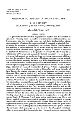 Membrane Potentials in Amoeba Proteus