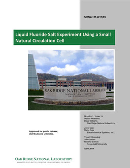 Liquid Fluoride Salt Experiment Using a Small Natural Circulation Cell